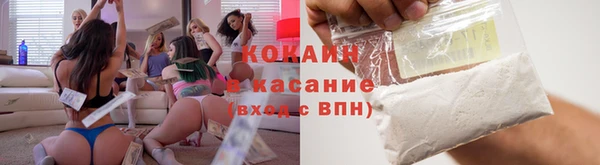 метадон Богданович
