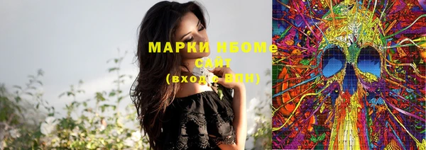 метадон Богданович