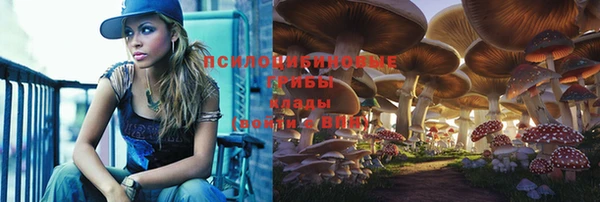 ешки Богородск