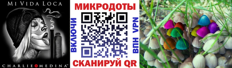 Псилоцибиновые грибы GOLDEN TEACHER  Гаврилов-Ям 